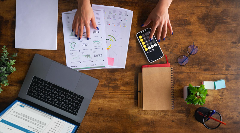 Muhasebe Gelişim Programı