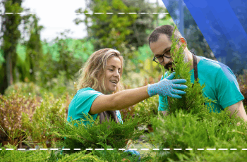Ausbildung für Landschaftsrestaurierungstechniken