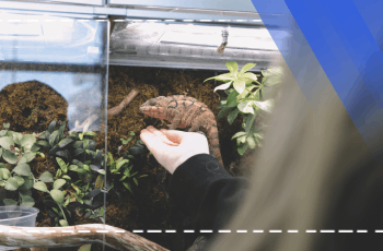 Ausbildung in biologischer Vielfalt und Naturschutz