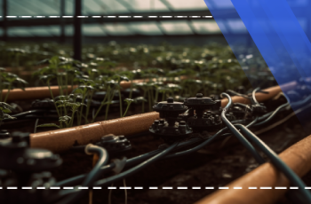 Ausbildung in Innerer Agrarmechanisierung