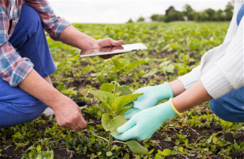 Ausbildung in Landwirtschaft, Natur und Wirtschaft