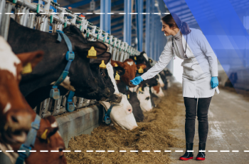 Ausbildung in Milchviehzucht