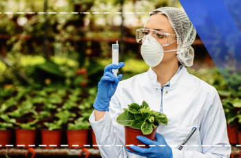 Ausbildung in Pflanzenkrankheiten und Lagerschädlingen