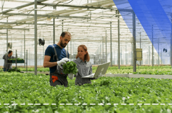 Ausbildungsprogramm für Gewächshausbau-Techniken und -Technologien