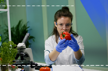 Basic Food Safety and Legislation Training