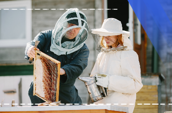Beekeeping Training