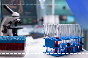 BUÜ Schulungsprogramm für Versuchstiere – Gruppe 1: Nagetiere (Maus, Ratte und Kaninchen) – Zertifikatskurs für den Umgang mit Versuchstieren