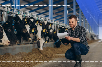 Cattle Farming Training