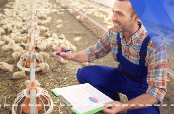 Chicken Farming Training