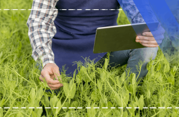 Çim Alanların Bakım ve Yapım Teknolojisi Eğitim Programı