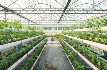 Covered Cultivation Systems Training