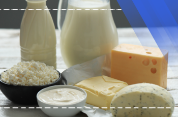 Fermented Dairy Products Training