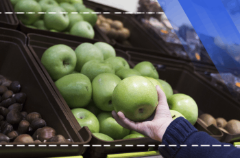 Frucht- und Gemüseprodukte-Technologie-Schulungsprogramm