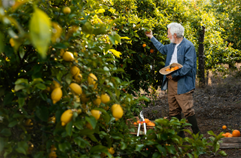 Fruit Cultivation Training