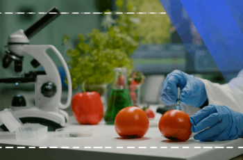 Gıda Güvenliği ve Kalite Yönetimi Eğitim Programı