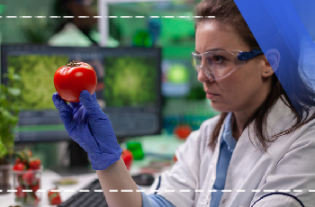 Grundausbildung in Lebensmittelsicherheit