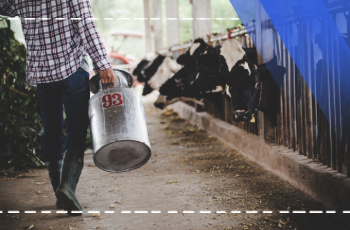 Grundausbildung in Milchverarbeitung