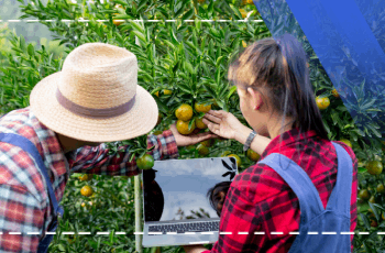 Landwirtschaftliche Ökologie Schulungsprogramm