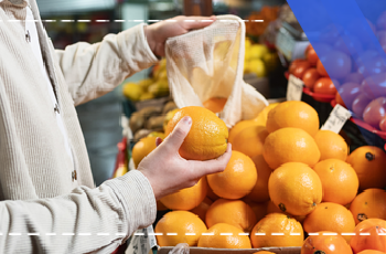 Meyve Sebze Pazarlaması Eğitimi