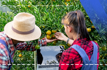 Meyve Sebze Yetiştiriciliği Ve Pazarlaması Eğitimi