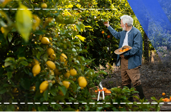 Meyve Yetiştiriciliği Eğitimi