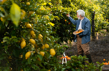 Meyve Yetiştiriciliği Eğitimi