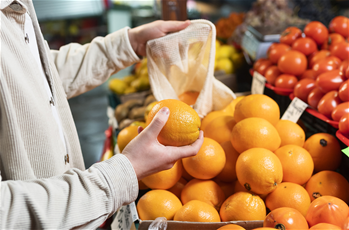 Obst- und Gemüsemarketing-Schulung