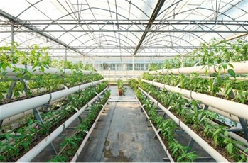 Örtülü Yetiştiricilik Sistemleri Eğitimi