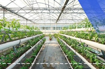 Örtülü Yetiştiricilik Sistemleri Eğitimi