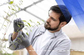 Plant Physiology Training Program