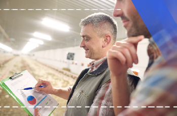 Profitable Livestock Farming Training and General Strategies Training