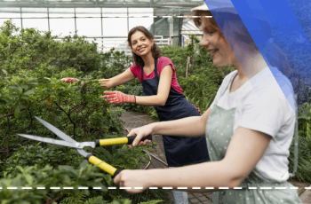 Pruning Techniques Training Program