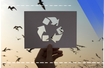 Schulung zur Lebenszyklusanalyse