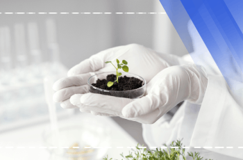 Seed Technology Training Program
