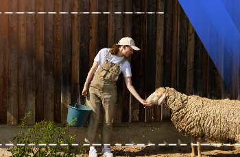 Small Ruminant Animal Husbandry Training