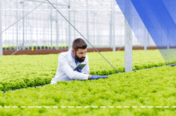 Soilless Agriculture Training Program