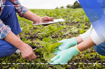 Tarım Doğa Ekonomi Eğitimi