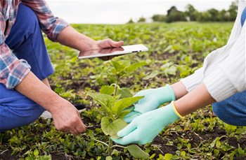 Tarım Doğa Ekonomi Eğitimi