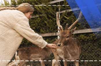 Wildlife Production and Diseases Training Program